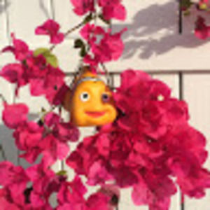 Meet your Posher, Helen